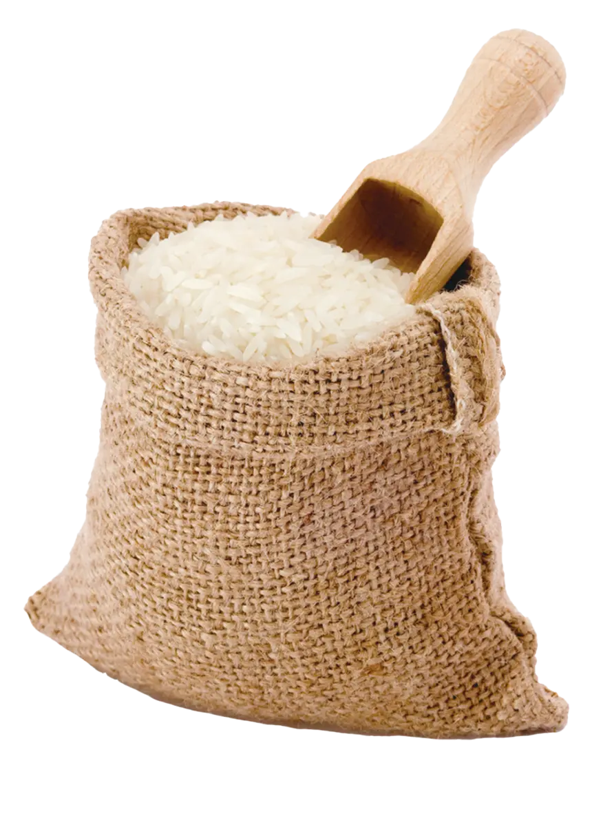 White-Rice02